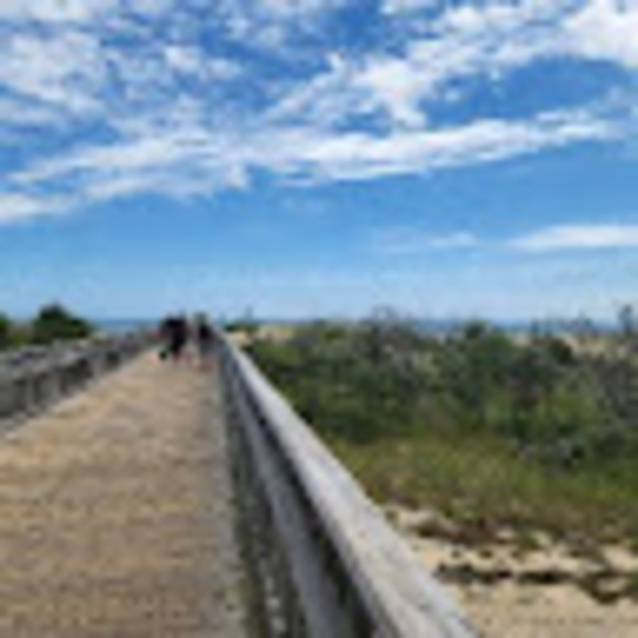 Meet your Posher, Mallorey - Picture 1 of 1